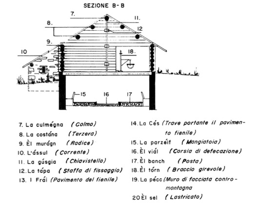 Sezione di un cascinale tipico dei promestivi di Gomegna, estratto dall’Appendice del «Glossario del dialetto di Mesocco» di Domenica Lampietti-Barella, in «Qgi» 57 (1987), n. 1, p. 62
